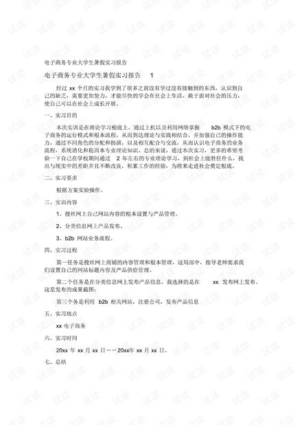 电子商务专业的实习论文