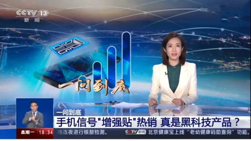 前央视主持人转行养鸡，新征程的勇气与智慧