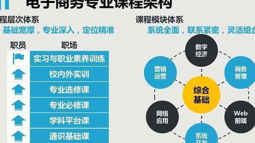电子商务专业就业的前景