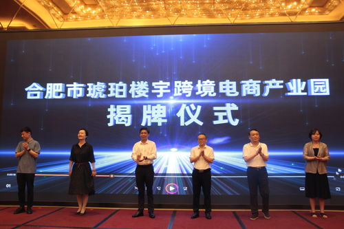 电子商务专业合肥哪个好