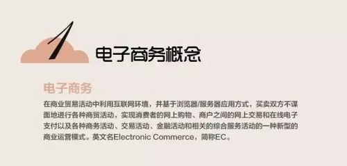 分析电子商务专业术语