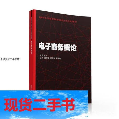 计算机专业电子商务论文