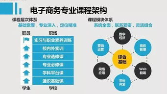 计算机电子商务类专业