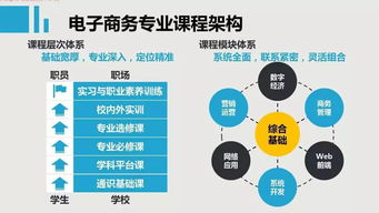 电子商务专业主要做什么