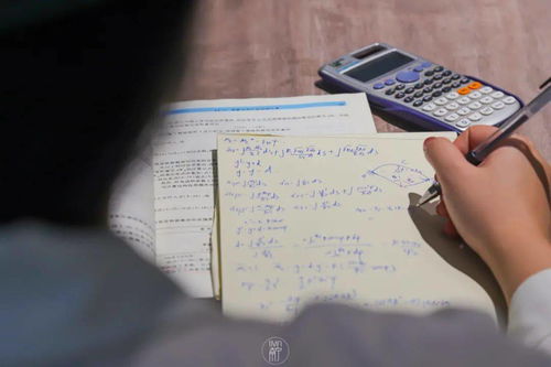 百万网红退学潮，自媒体时代，做自媒体真的就上不好学了吗？
