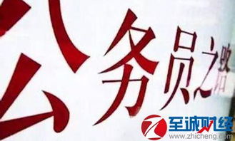 电子商务专业考公务员陕西
