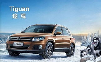 途观汽车商务车价格及图片（途观商务车7座报价和图片）